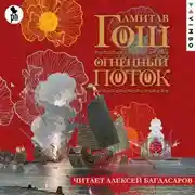 Постер книги Огненный поток