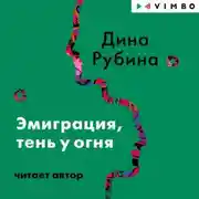 Постер книги Эмиграция, тень у огня