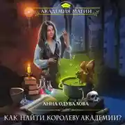 Постер книги Как найти королеву Академии?