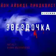 Постер книги Звездочка