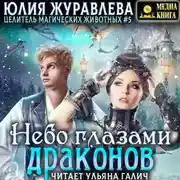 Постер книги Небо глазами драконов
