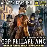 Постер книги Сэр рыцарь Лис