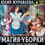 Постер книги Магия уборки