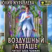 Постер книги Воздушный атташе