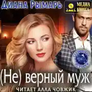 Постер книги (Не) верный муж