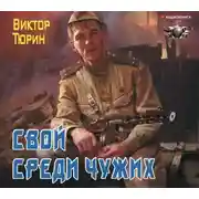 Постер книги Свой среди чужих