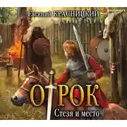 Постер книги Отрок. Стезя и место