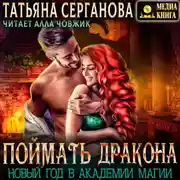 Постер книги Поймать дракона. Новый год в Академии