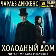 Постер книги Холодный дом