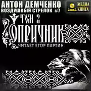 Постер книги Воздушный стрелок. Опричник. Том 2