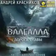 Постер книги Валгалла I. Дорога славы