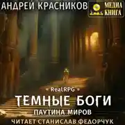 Постер книги Темные боги. Паутина миров
