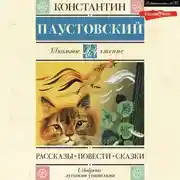 Постер книги Рассказы. Повести. Сказки
