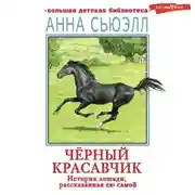 Постер книги Черный красавчик