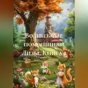 Постер книги «Волшебные помощники Лизы» (книга 1)