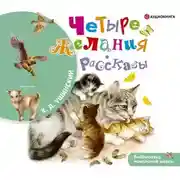 Постер книги Четыре желания