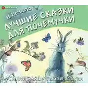 Постер книги Лучшие сказки для почемучки