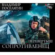 Постер книги Перевертыш