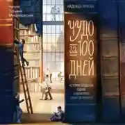 Постер книги Чудо за 100 дней. Иcтория создания одной библиотеки Санкт-Петербурга