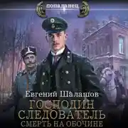 Постер книги Господин следователь. Смерть на обочине