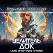 Постер книги Целитель. Док