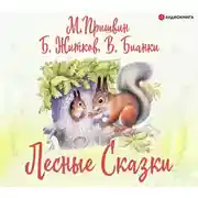 Постер книги Лесные сказки