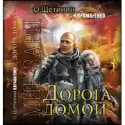 Постер книги Дорога домой