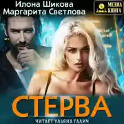 Постер книги Стерва