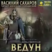Постер книги Ведун