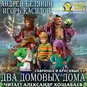 Постер книги Два домовых дома