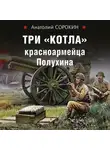 Анатолий Сорокин - Три «котла» красноармейца Полухина