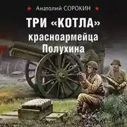 Постер книги Три «котла» красноармейца Полухина