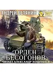 Андрей Белянин - Орден бесогонов