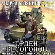 Постер книги Орден бесогонов