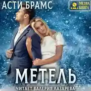 Постер книги Метель
