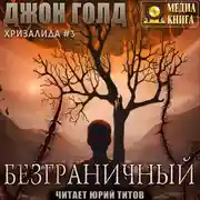 Постер книги Хризалида. Безграничный
