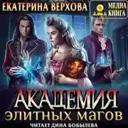 Постер книги Академия элитных магов