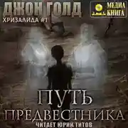 Постер книги Хризалида. Путь предвестника