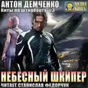 Постер книги Небесный шкипер