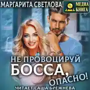 Постер книги Не провоцируй босса, опасно!