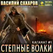 Постер книги Степные волки
