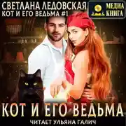Постер книги Кот и его Ведьма