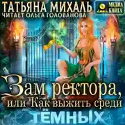 Постер книги Зам ректора, или Как выжить среди Тёмных