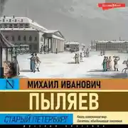 Постер книги Старый Петербург
