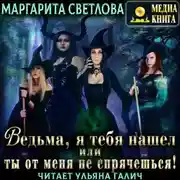 Постер книги Ведьма, я тебя нашел, или Ты от меня не спрячешься. Книга 1