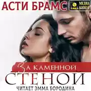 Постер книги За каменной стеной