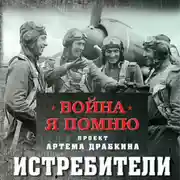 Постер книги Истребители