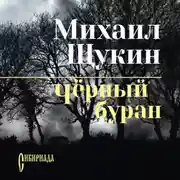 Постер книги Черный буран