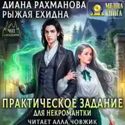 Постер книги Практическое задание для некромантки
