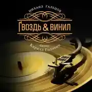 Постер книги Гвоздь & винил